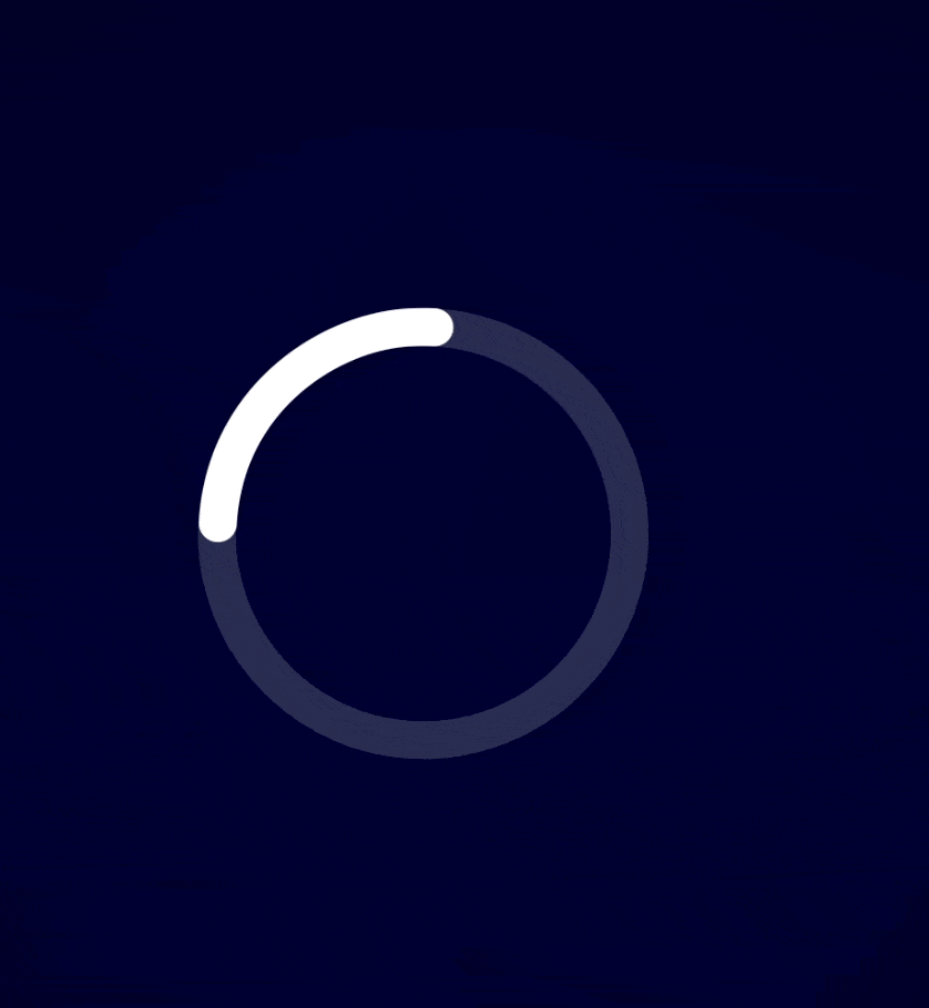 Check Loader Gif